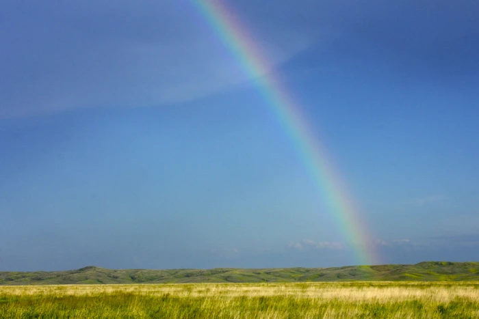 rice field under rainbow prairie south dakota sky landscape 2k 4k 5k