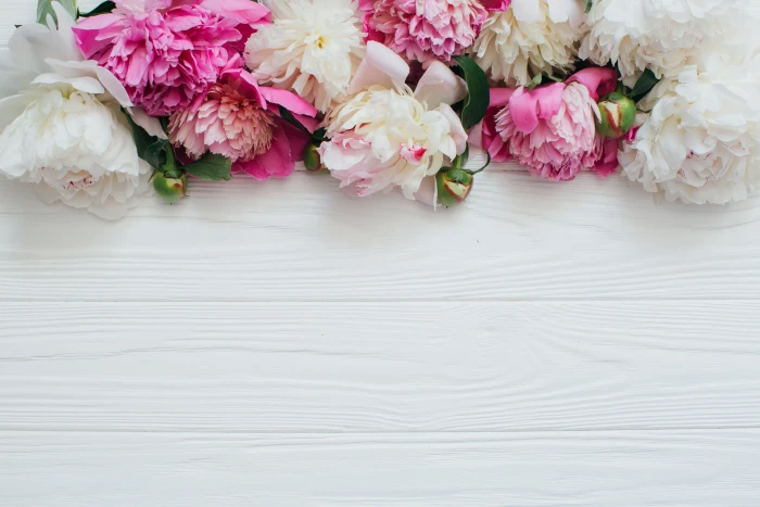 white and pink flowers Peonies Wooden background bouquet Color 2k 4k 5k