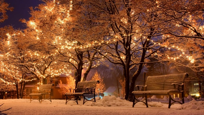 winter snow christmas lights branch tree night evening 2k 4k