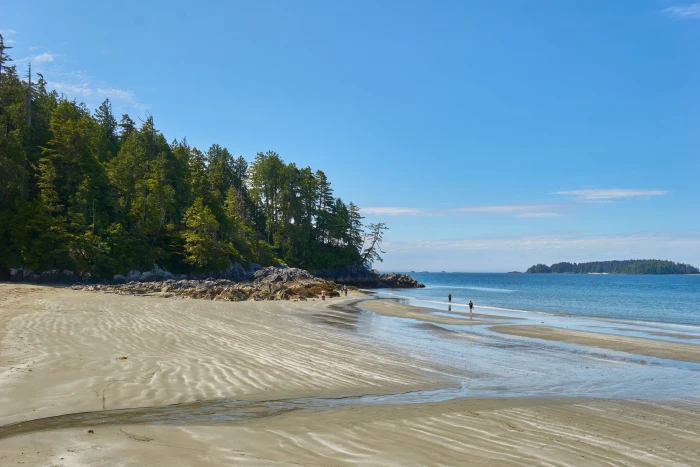 beach sea tofino canada pacific summer ocean water paradise 2k 4k 5k
