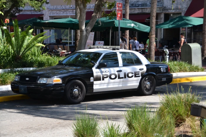 black and white Ford Crown Victoria police cruiser parked near plants during daytime 2k 4k 5k