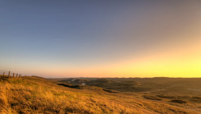 brown mountain grass during sunset warmth Dutch dunes 2k 4k 5k