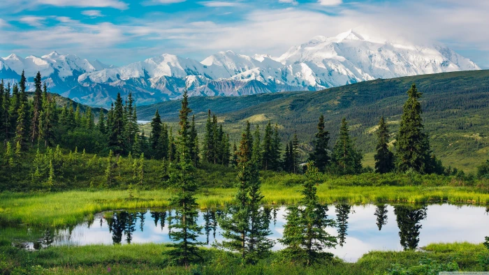 green pine trees Alaska nature landscape mountains water 2k 4k