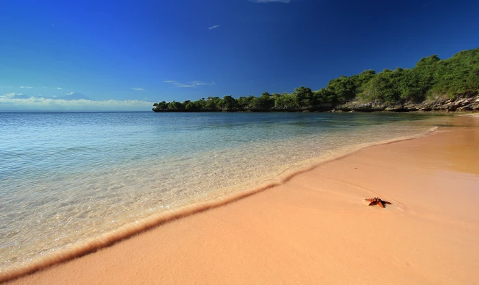 lombok pink beach summer land water sea sand sky scenics nature 2k 4k 5k