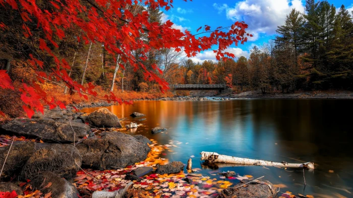 nature high resolution desktop 2k 4k