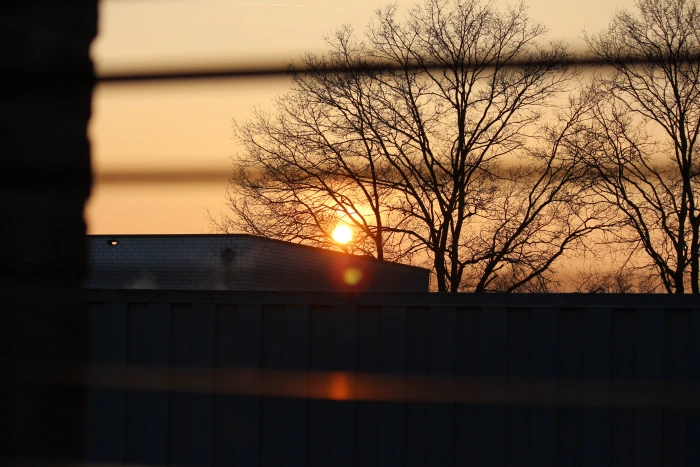 netherlands eibergen mors 11 window sun insideshot trees 2k 4k 5k