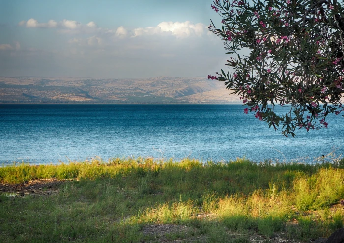 sea of galilee tabgha lake water tiberias israel 2k 4k 5k