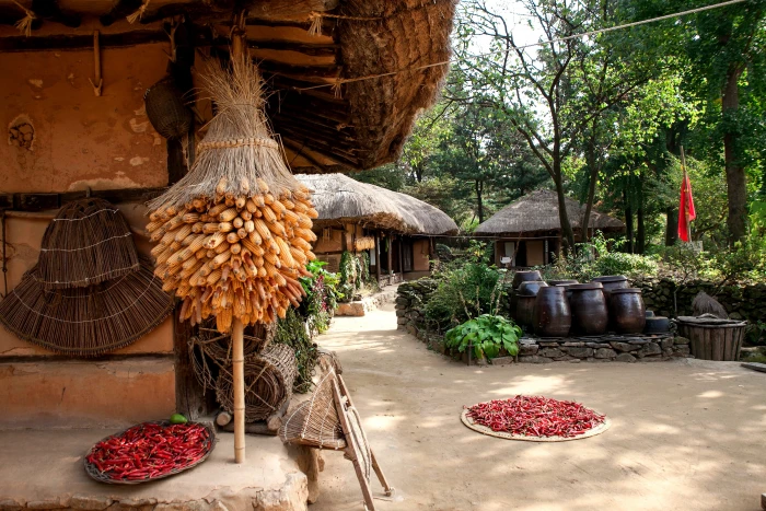 thatch roofed hose traditional republic of korea korean 2k 4k