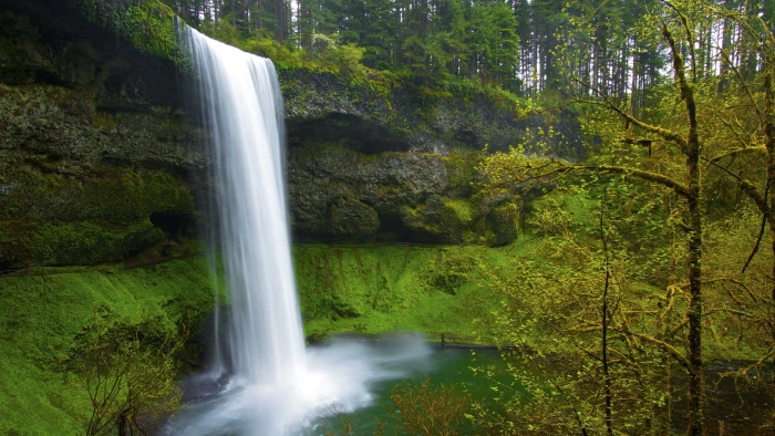 waterfalls nature landscape long exposure forest trees scenics 2k 4k