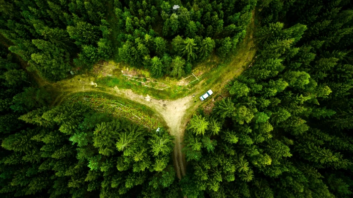 aerial view drone landscape forest nature 2k 4k