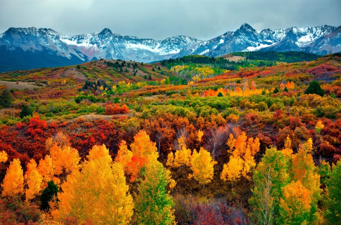 autumn hd desktop download scenics nature mountain 2k 4k