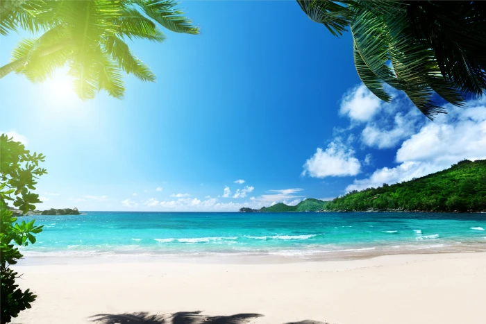 beach ocean palms paradise sea summer sunshine tropical 2k 4k 5k
