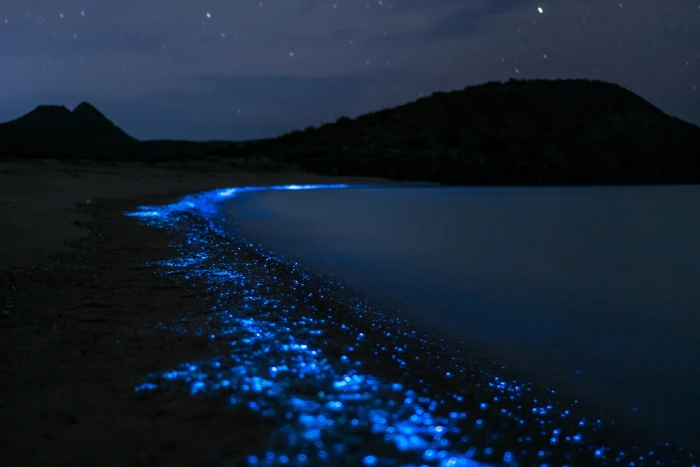body of water during nighttime panoramic landscape sea nature 2k 4k 5k