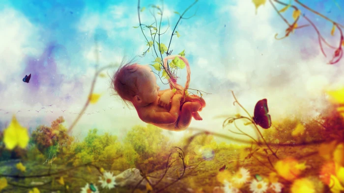 Creation Baby In Womb 2k 4k 5k 8k