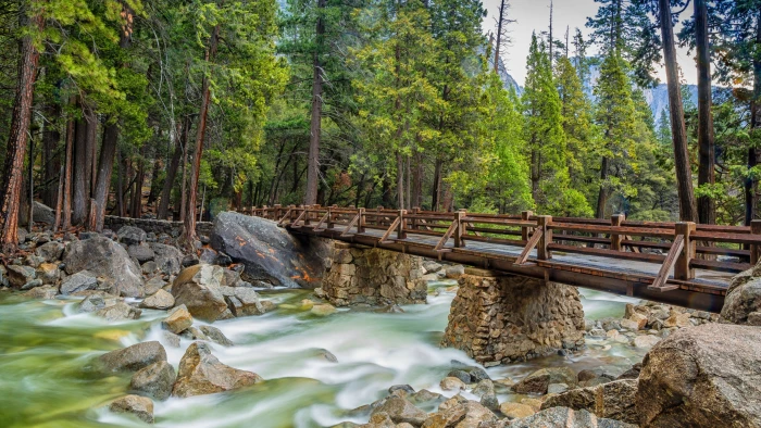 footbridge water nature yosemite national park tree wilderness 2k 4k