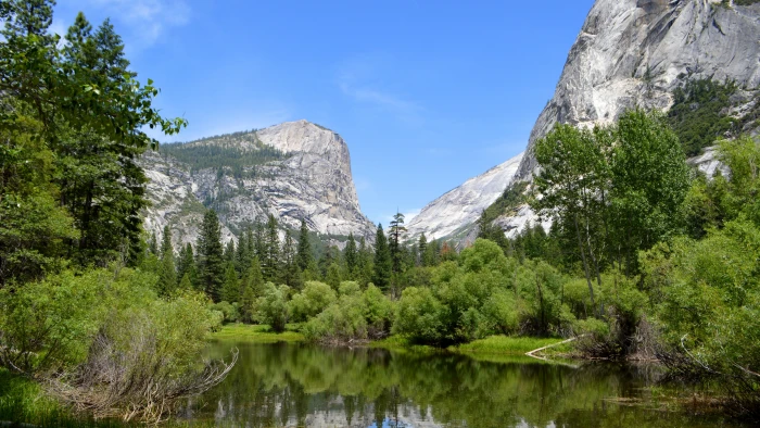 forest near river and mountain Yosemite wallpaper 2k 4k 5k