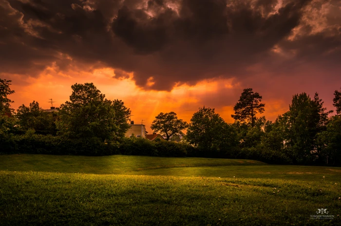 green grass field near leaf trees under cloudy sky orange stockholm sweden 2k 4k 5k