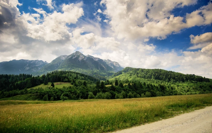 green grassfield with mountain background nature summer forest 2k 4k 5k
