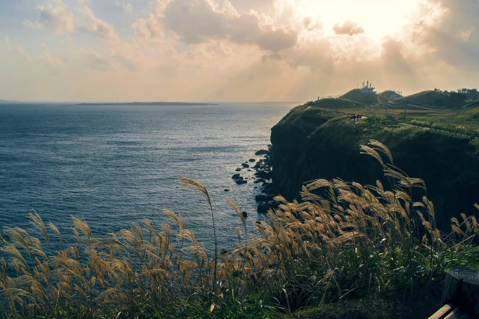 korea jeju island sea reed sky clouds sunset water 2k 4k 5k