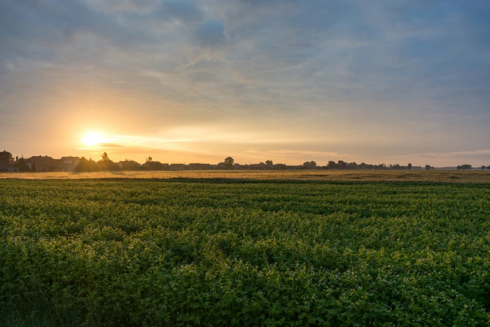 nature landscape sunrise village Poland sky field scenics 2k 4k 5k