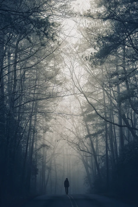 photo of person walking on road surrounded by trees during noontime 2k
