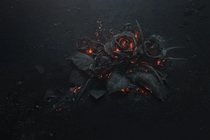 rose ashes fire black dark theme Flowers no people burning 2k 4k 5k