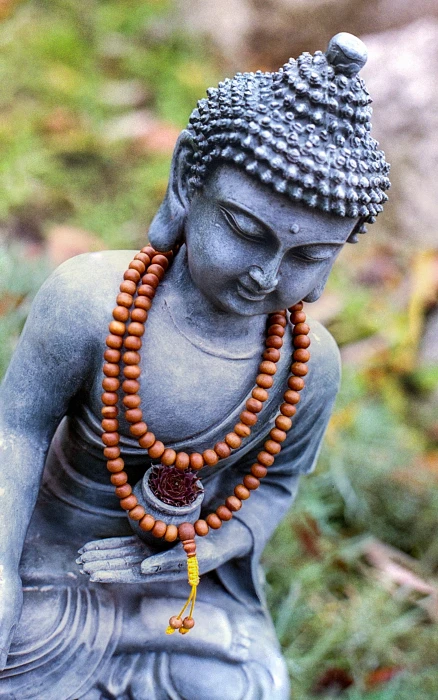 selective focus photography of gray Gautama Buddha figurine meditation 2k