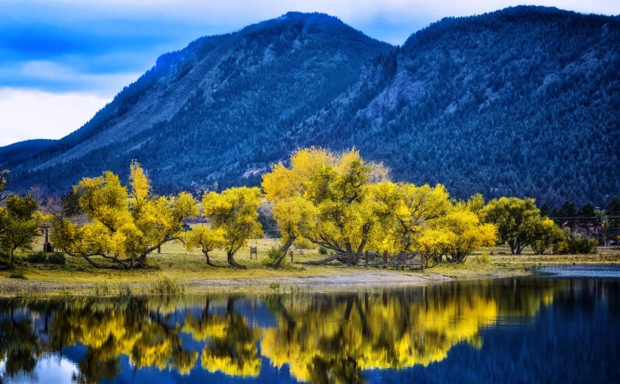 Autumn Yellow Trees Reflection Palmer Lake yellow leafed trees 2k 4k 5k