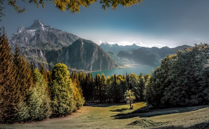 green leaves trees beside body of water near mountain Mondsee 2k 4k 5k