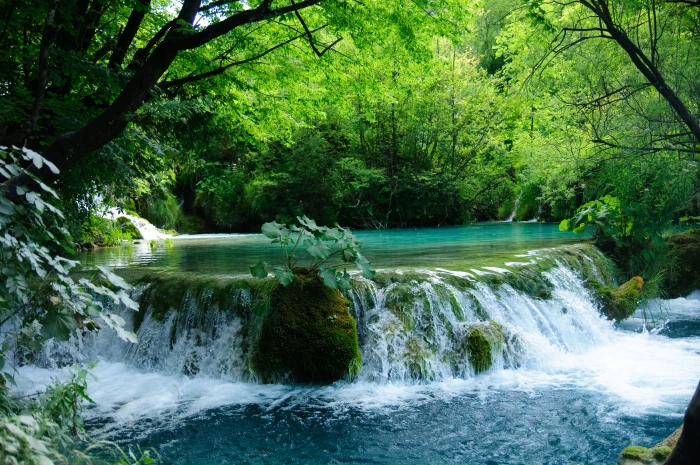 photo of green leaf plant near waterfall ACA Plitvice Lake 2k 4k