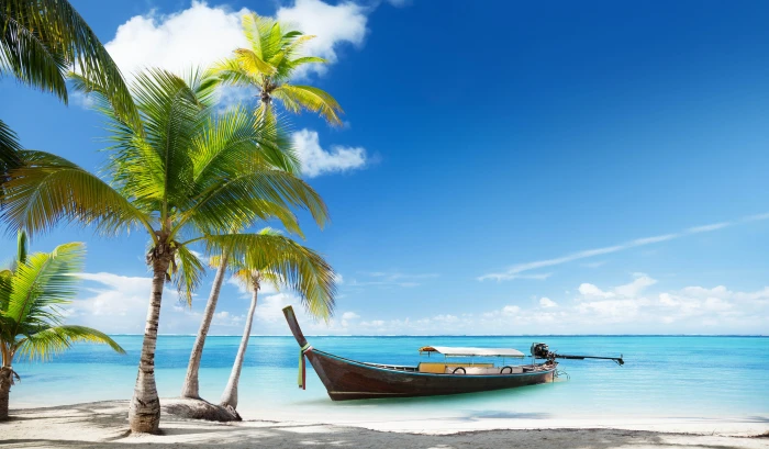 brown boat landscape tropical beach palm trees water sea 2k 4k 5k 8k