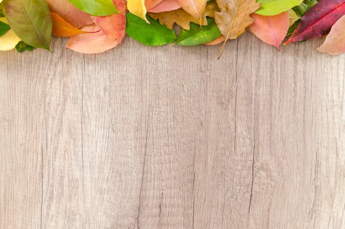 brown wooden surface autumn orange nature red yellow fall 2k 4k 5k
