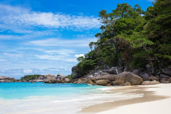 landscape sea beach water tree beauty in nature sky rock 2k 4k 5k