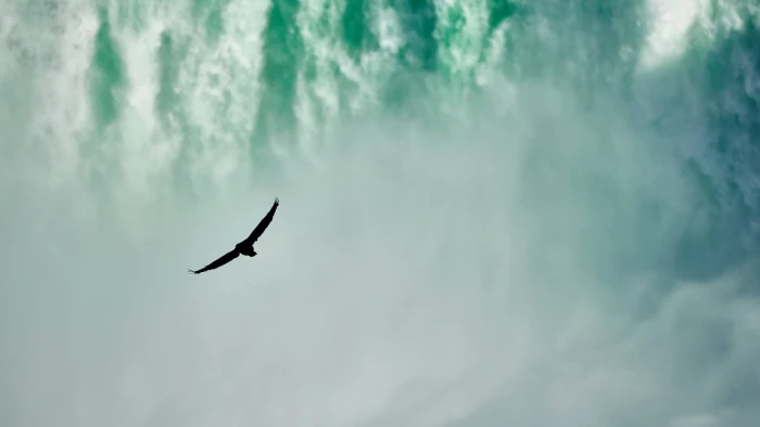 Into the green Eagle in Niagara Falls 2k 4k