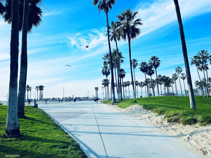 Beach LA nature