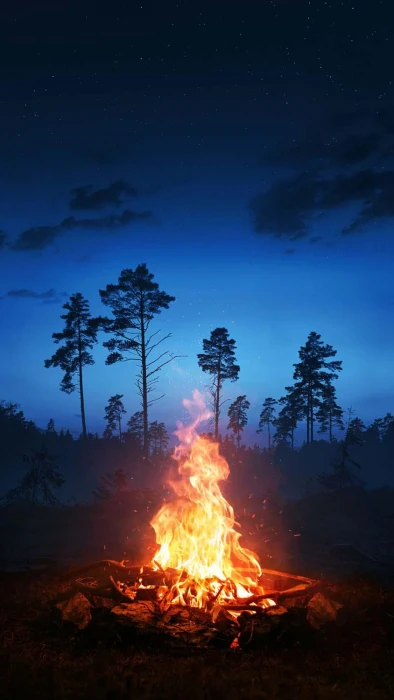 Camping fire night background trees