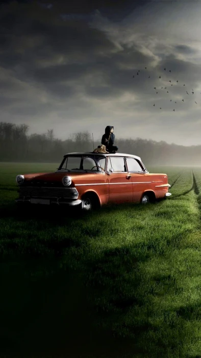 Landscape car pet dog man lonely