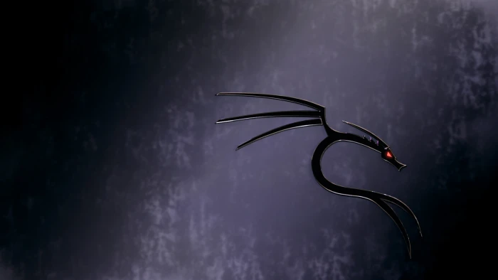 px Backtrack dragon Kali Linux NetHunter MSI Sports Other HD Art 2k