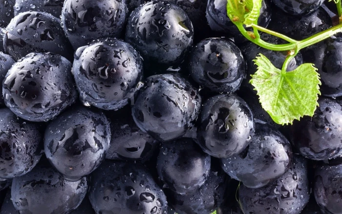 black grapes blueberries food macro fruit water drops freshness 2k