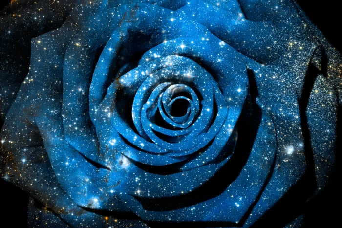 blue and white rose Cosmic NGC galaxy celestial 2k