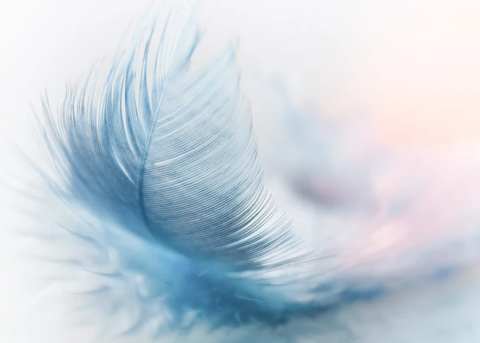 blue feather with white background spring ease slightly airy 2k