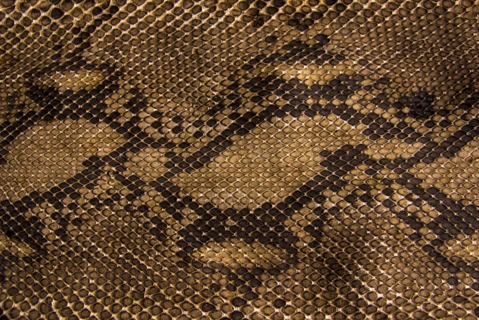 brown and black snakeskin pattern textile texture scales leather 2k 4k 5k