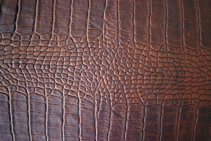 brown crocodile skin leather textile Structure Detail 2k
