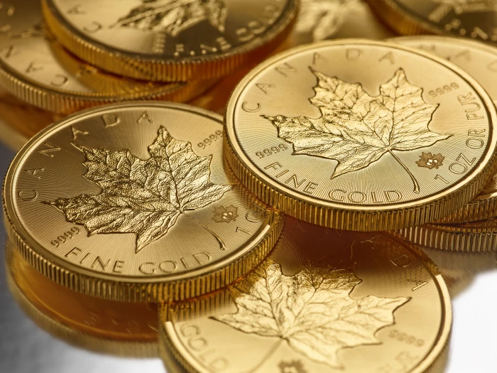 Canada macro gold money coins metal finance currency 2k 4k 5k