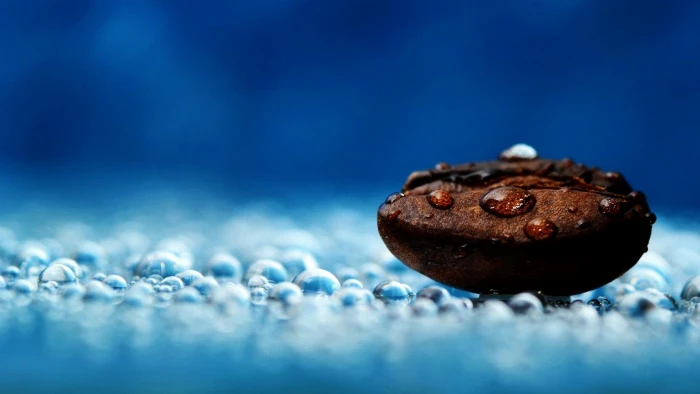 Coffee Bean drops brown blue macro and abstract 2k