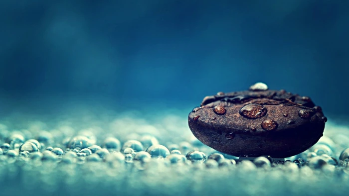 coffee bean macro photography of artwork closeup 2k