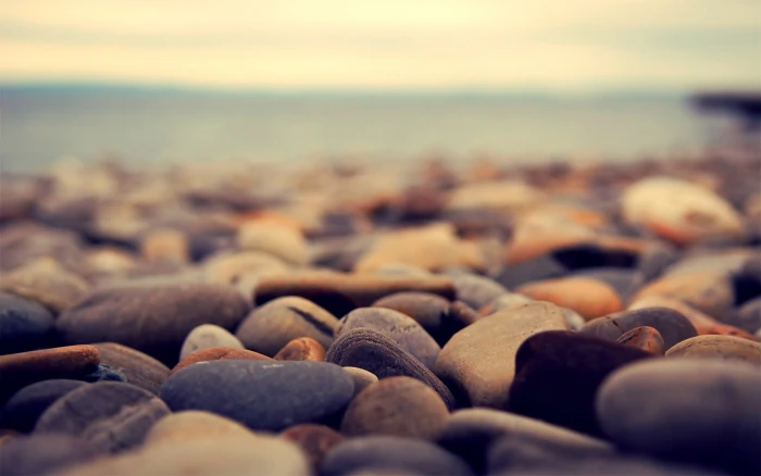 gray stones rock water beach depth of field macro nature 2k
