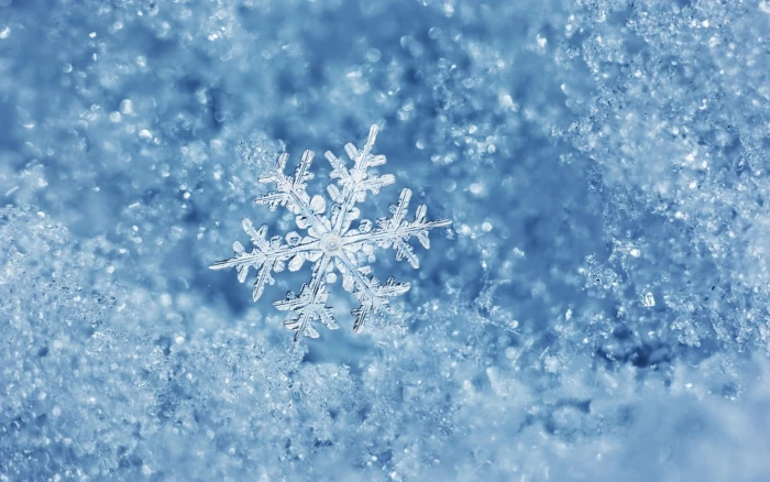 Ice Winter Macro Snowflake 2k
