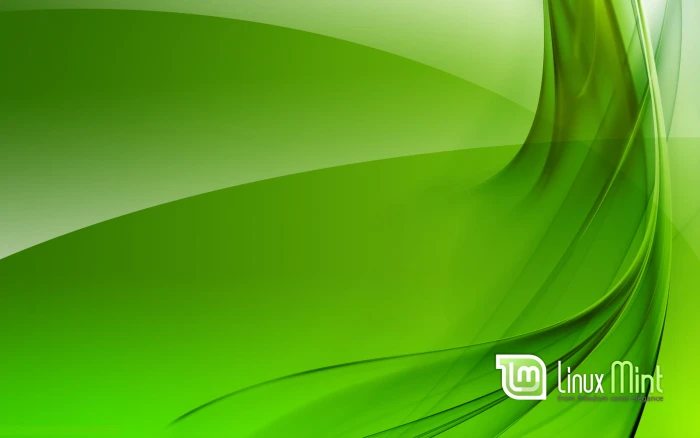 Linux Mint computer 2k