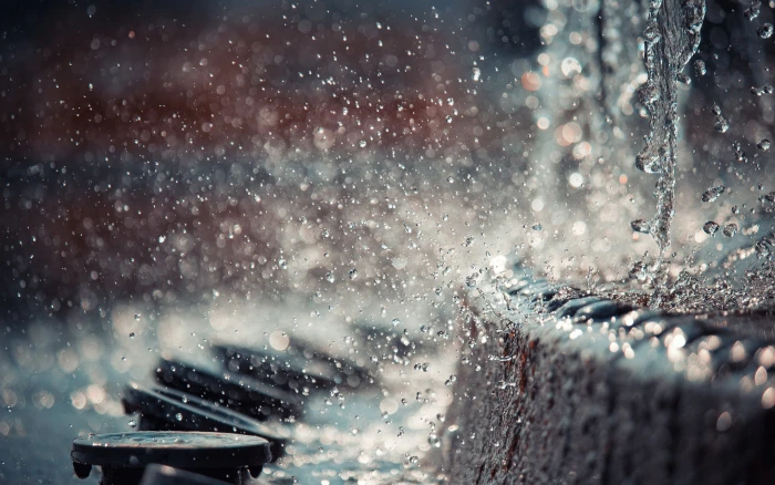 macro lens photography of water drops depth field 2k
